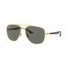 OKULARY PRZECIWSŁONECZNE RAY-BAN® RB3683 001/58 ARISTA/POLARIZED GREEN r.58